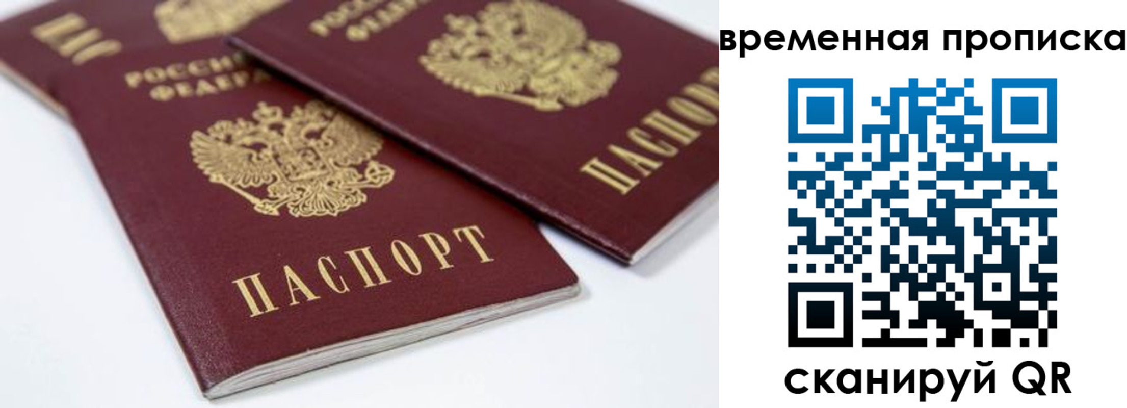 прописка для школы в Костромской области